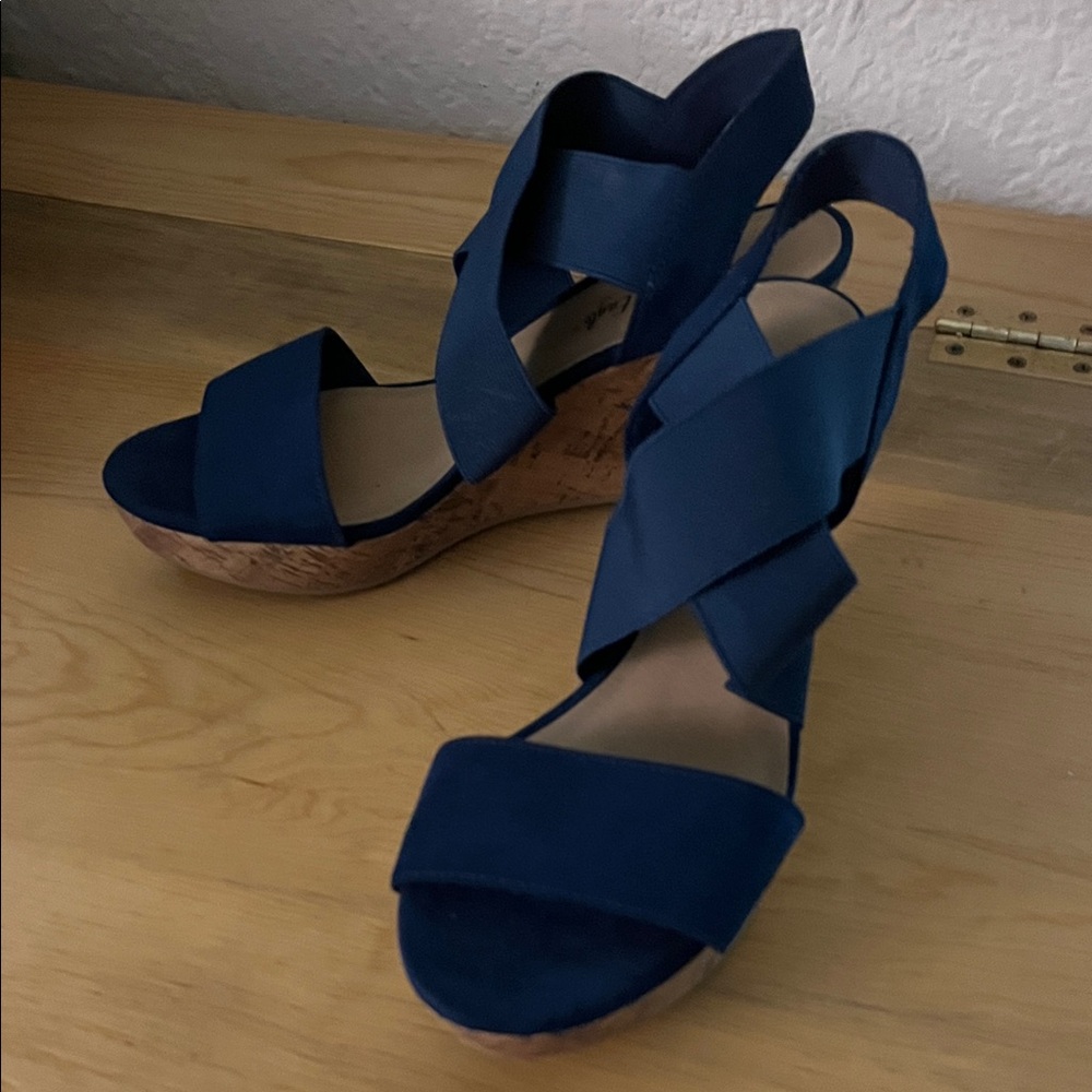 American Eagle Outfitters Blue Wedge Sandals